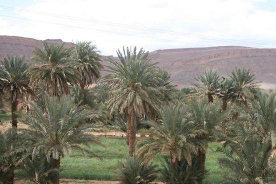 Maggaman Guest House Tafraoute Sidi Ali Dış mekan fotoğraf